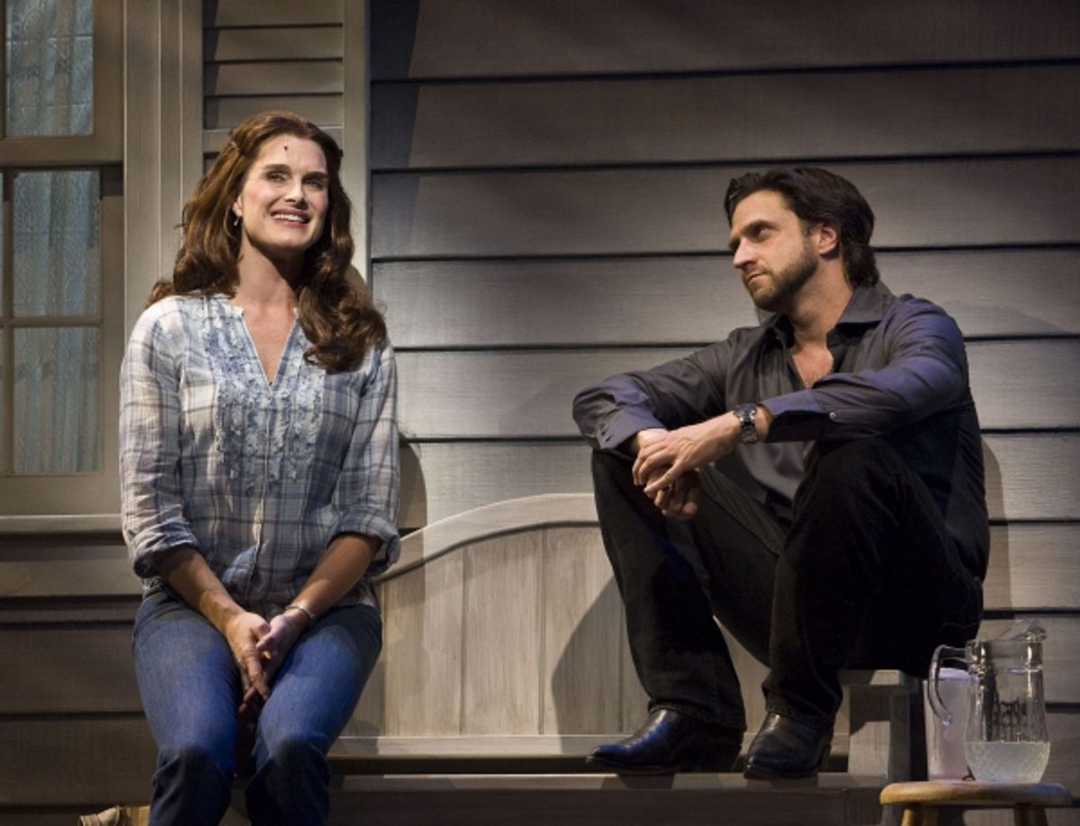 Brooke Shields and Raul Esparza at 